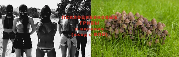 мескалин Михайловка