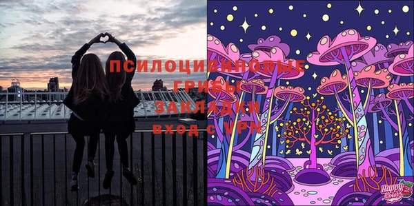 каннабис Надым