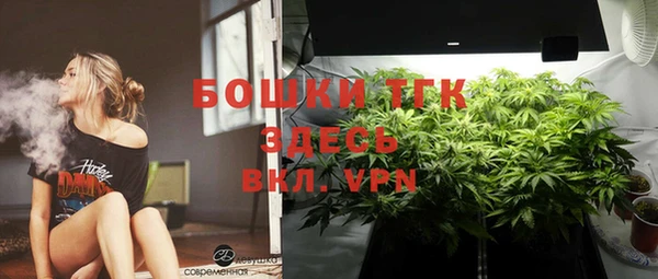 не бодяженный Михайлов