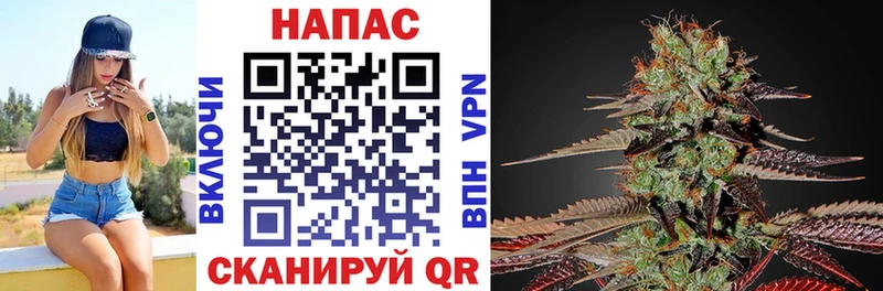 ОМГ ОМГ как войти  купить   Пестово  Шишки марихуана OG Kush 